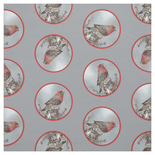 House Finch im Winter Snow Original Foto Stoff (Muster)