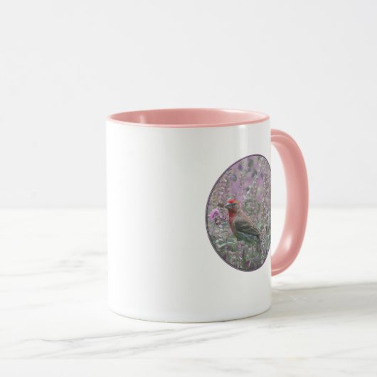 House Finch in Salvia Tasse (VorderseiteRechts)