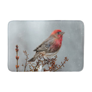 House Finch in Snow - Original Foto Badematte