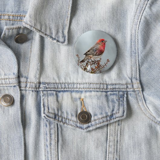House Finch in Snow - Original Foto Button (Beispiel)