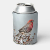 House Finch in Snow - Original Foto Dosenkühler (Kanne Rückseite)