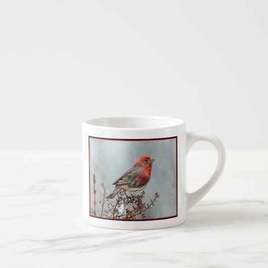 House Finch in Snow - Original Foto Espressotasse (Rechts)