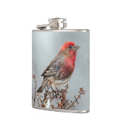 House Finch in Snow - Original Foto Flachmann (Links)