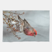 House Finch in Snow - Original Foto Geschirrtuch (Horizontal)