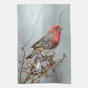 House Finch in Snow - Original Foto Geschirrtuch