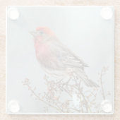 House Finch in Snow - Original Foto Glasuntersetzer (Rückseite)