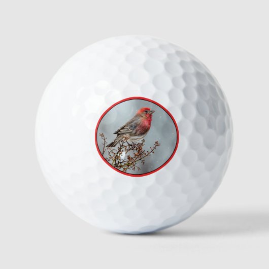 House Finch in Snow - Original Foto Golfball (Vorderseite)