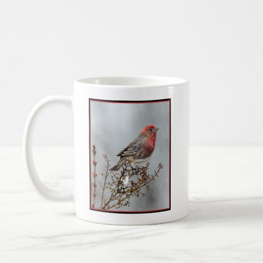 House Finch in Snow - Original Foto Kaffeetasse (Links)