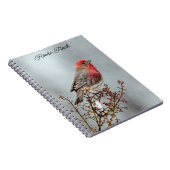 House Finch in Snow - Original Foto Notizblock (Rechte Seite)