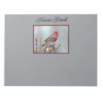 House Finch in Snow - Original Foto