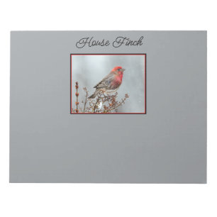 House Finch in Snow - Original Foto Notizblock