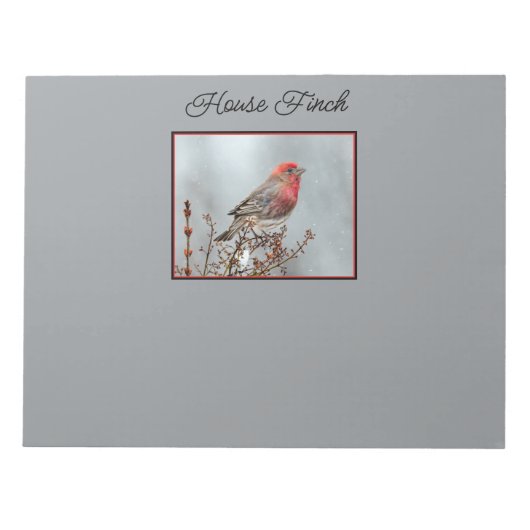 House Finch in Snow - Original Foto Notizblock (Vorderseite)