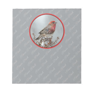 House Finch in Snow - Original Foto Notizblock