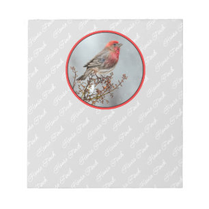 House Finch in Snow - Original Foto Notizblock