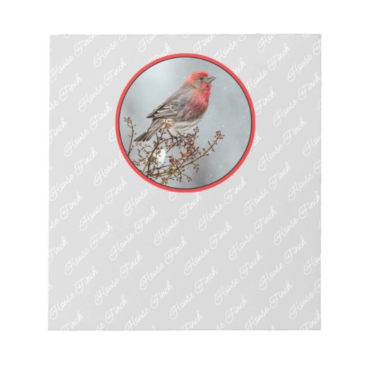 House Finch in Snow - Original Foto Notizblock (Vorderseite)