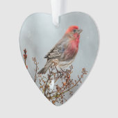 House Finch in Snow - Original Foto Ornament (Vorderseite)