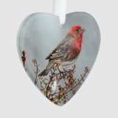 House Finch in Snow - Original Foto Ornament (Vorderseite)
