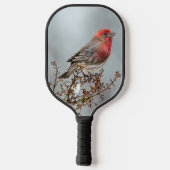House Finch in Snow - Original Foto Pickleball Schläger (Rückseite)