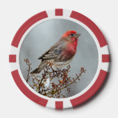 House Finch in Snow - Original Foto Pokerchips (Vorderseite)