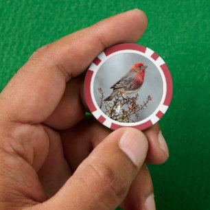 House Finch in Snow - Original Foto Pokerchips