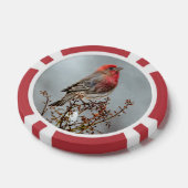 House Finch in Snow - Original Foto Pokerchips (Einzeln)