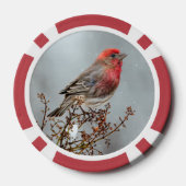 House Finch in Snow - Original Foto Pokerchips (Rückseite)