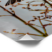 House Finch in Snow - Original Foto Poster (Ecke)