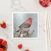 House Finch in Snow - Original Foto Serviette (Beispiel)