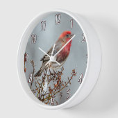 House Finch in Snow - Original Foto Uhr (Winkel)
