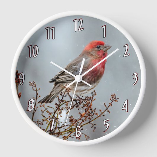 House Finch in Snow - Original Foto Uhr (Vorderseite)
