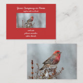 House Finch in Snow - Original Foto Visitenkarte (Vorne/Hinten)