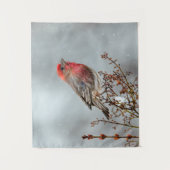 House Finch in Snow - Original Foto Wandteppich (Vorderseite)