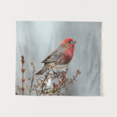 House Finch in Snow - Original Foto Wandteppich (Vorderseite (Horizontal))