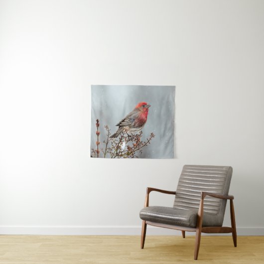 House Finch in Snow - Original Foto Wandteppich (Beispiel (Horizontal))