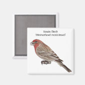House Finch Magnet (Vorderseite/Rückseite)
