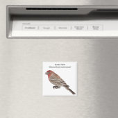 House Finch Magnet (In Situ (Geschirrspüler))