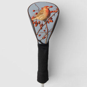 House Finch mit Hawthorn Berries Golf Headcover