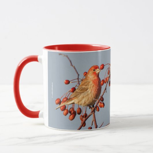 House Finch mit Hawthorn Berries Tasse (Links)
