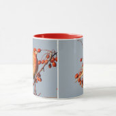 House Finch mit Hawthorn Berries Tasse (Zentrum)