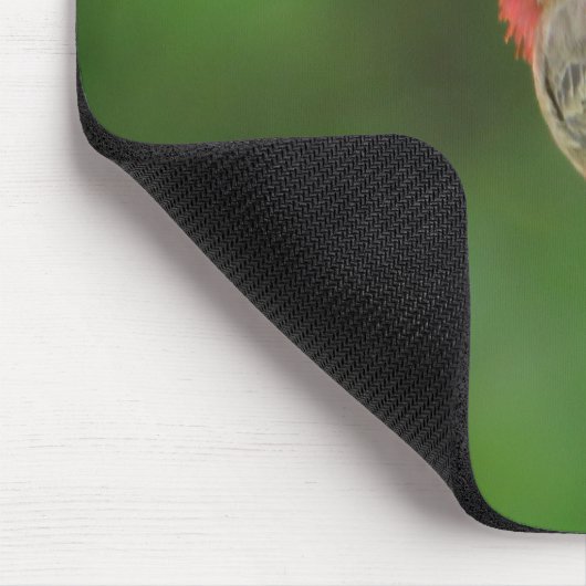 House Finch mit Ihren Initialen Mousepad (Ecke)