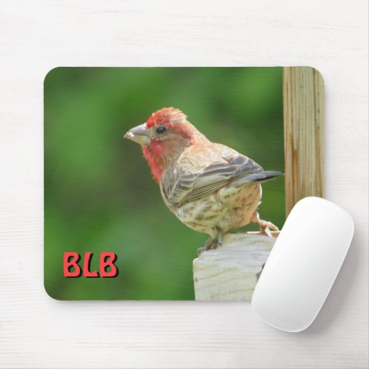 House Finch mit Ihren Initialen Mousepad (Mit Mouse)