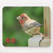House Finch mit Ihren Initialen Mousepad (Vorne)