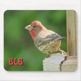 House Finch mit Ihren Initialen Mousepad