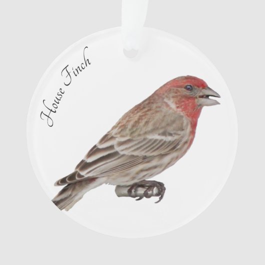 House Finch Ornament (Vorderseite)