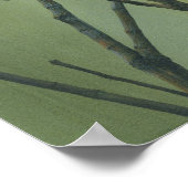 House Finch Poster (Ecke)