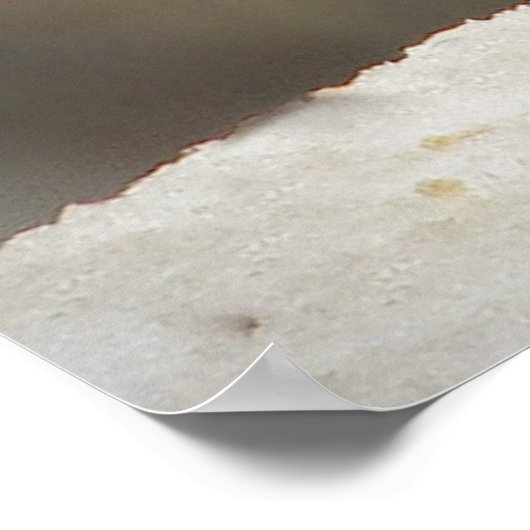 House Finch Poster (Ecke)