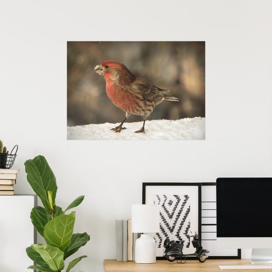 House Finch Poster (Heimbüro)