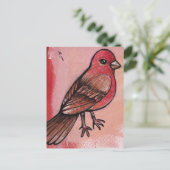 House Finch Postkarte (Stehend Vorderseite)