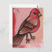 House Finch Postkarte (Vorne/Hinten)