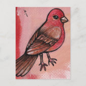 House Finch Postkarte (Vorderseite)